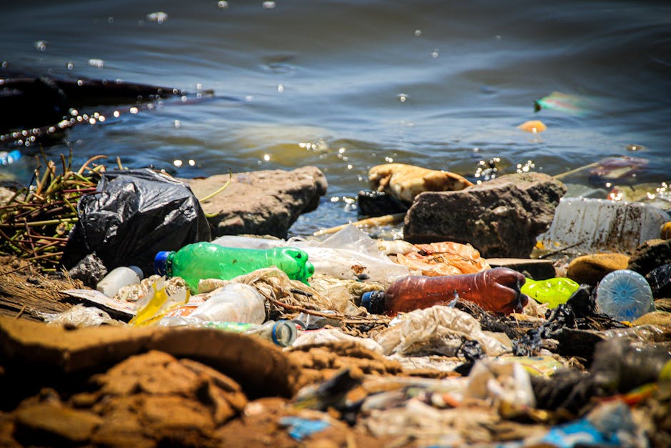 What to know about same day rubbish removal in Hendon